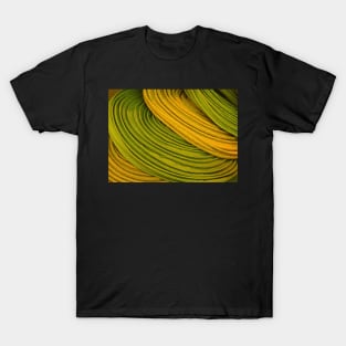 Felt Hat Abstract II T-Shirt